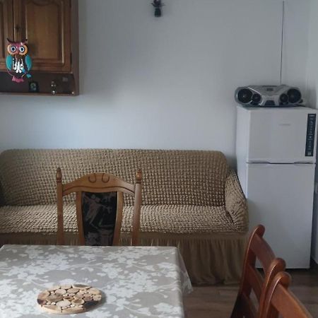 Apartamento Casa M Câmpulung Moldovenesc Exterior foto